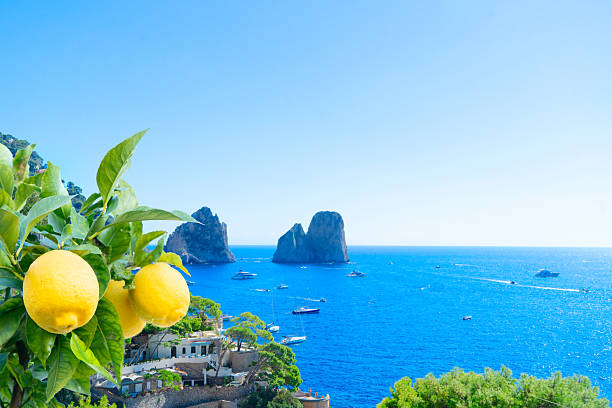 Famous Faraglioni cliffs and Capri island coast, Italy, retro toned