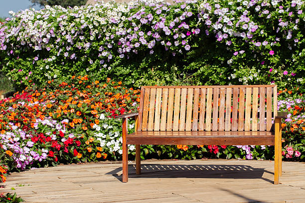 Wooden bench in a beautiful park garden.