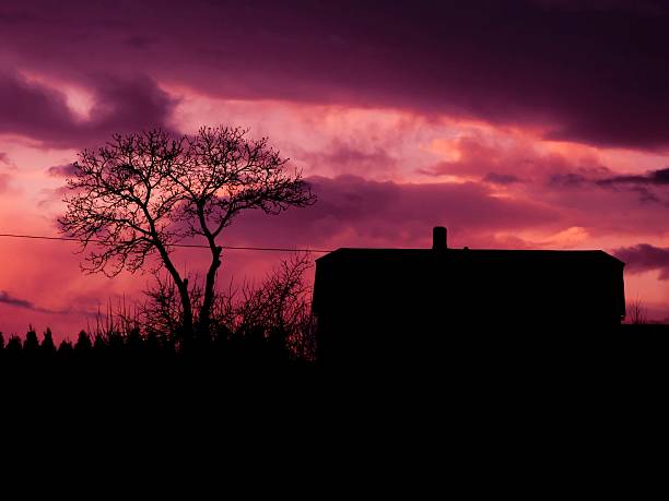 Silhouette of house and tree during sunset with dark purple sky