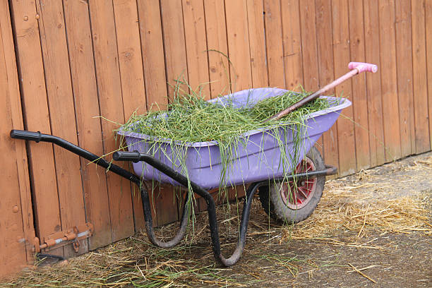 istock Wheelbarrow Full of Grass. 2252946772
