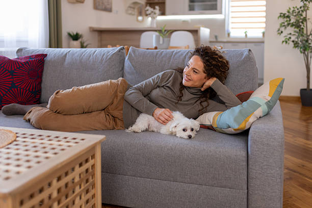 istock Mindful Rest at Home with Pet Dog 2252948548