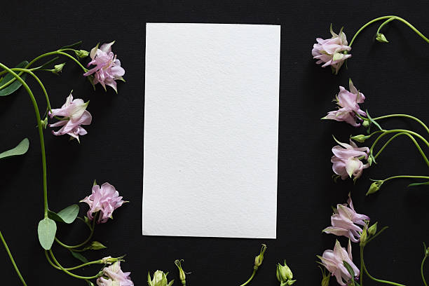 istock Bright purple and yellow wildflowers arranged on dark background create stunning visual contrast 2252949482