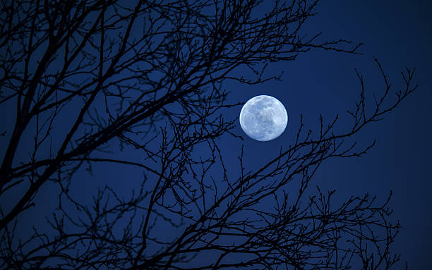 istock A large moon is in the sky above a dark blue sky 2252950562