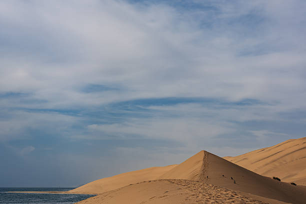 Golden sand dunes rising above the Atlantic Ocean along the Angolan coast, with smooth desert textures, soft light, and a dramatic sky creating a minimalist natural landscape.