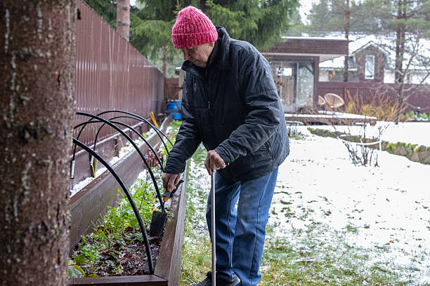 istock Man Working in Winter Garden Bed 2252957494