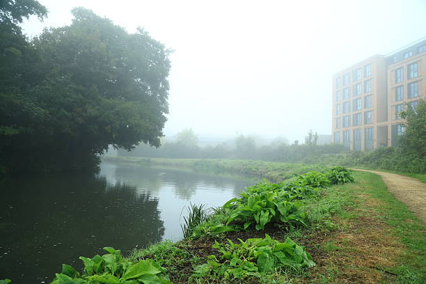 Early morning mist over the River Wey Surrey England Europe