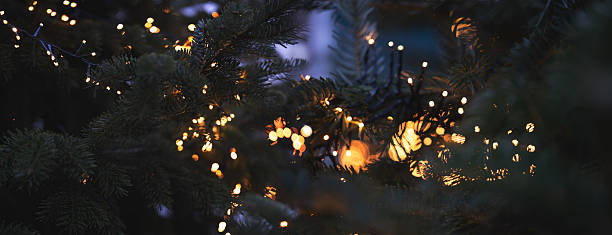 istock Christmas tree with golden bokeh lights 2252958904