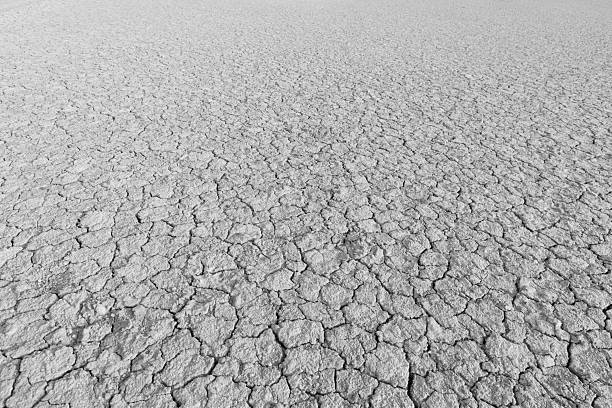 The soil surface is cracked, dry, and barren,Cracked soil