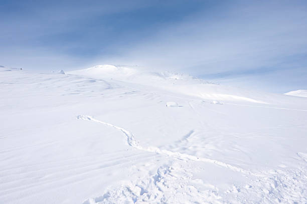 A snowy landscape featuring tall fir trees standing on a winter slope, illuminated by the sun. The blue sky with scattered clouds adds depth and contrast, creating a peaceful scene of winter nature