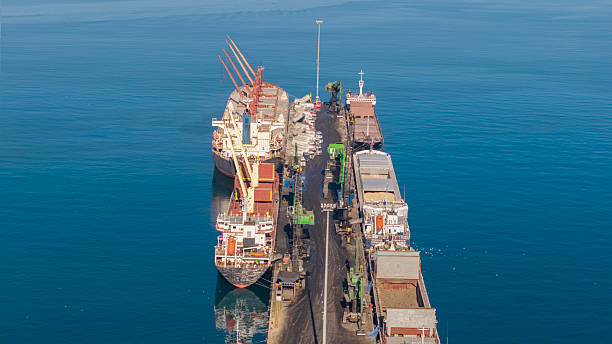 Large cargo vessels are moored alongside a bustling port terminal, actively engaged in loading and unloading operations with heavy machinery
