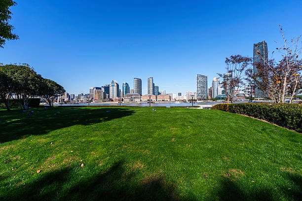 Urban green spaces and skyline