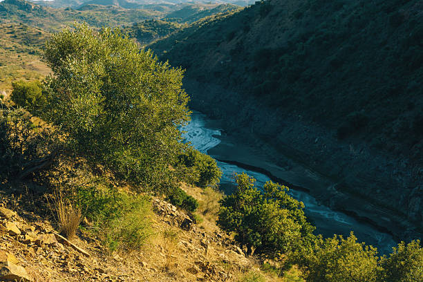 istock Steep slope with olive tree in sunlight overlooking river in valley. Andalusia, Spain. 2252989399