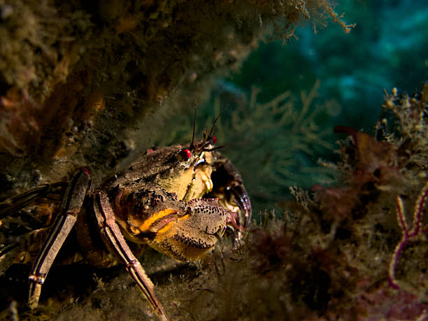Shot in Portugal, Sesimbra, Atlantic oceam