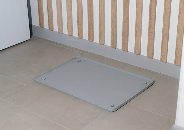 istock Rubber pet mat is placed on the floor, providing a clean and comfortable space for pets while enhancing the home decor 2252990392