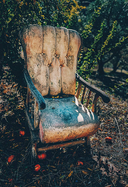 old wooden chair abandoned outdoor, daylight shot, no people