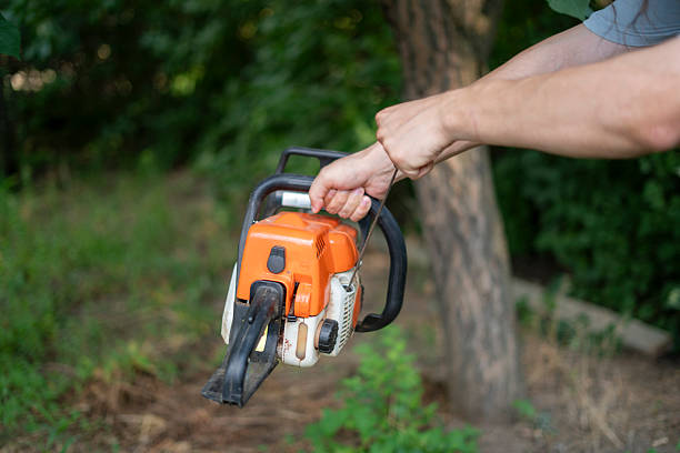 Hands starting a chainsaw by jerking starter, ready to start cutting branches in a residential backyard