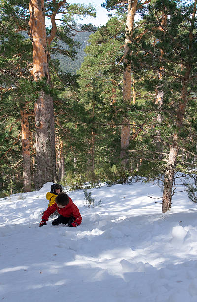 istock Children sliding down snowy hill in pine forest 2252995618