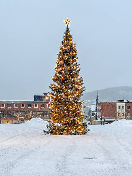 istock Illuminated christmas tree on snowy central place in Ostersund 2253002206