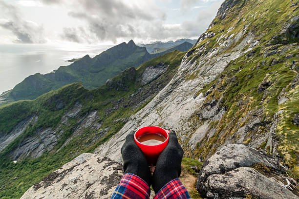 istock The Lofoten Islands 2253004481