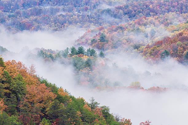 Beautiful morning at the Great Smoky Mountains with colorful fall foliage and fog rolling through the valleys, hence the name smoky.