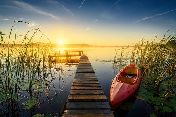 canoeing life style hobby activity concept of swimming person on a water in warm sunset light horizon background with landscape trees silhouettes outline