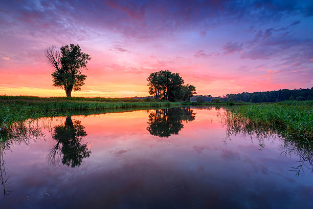 Colorful summer sunrise over the lake