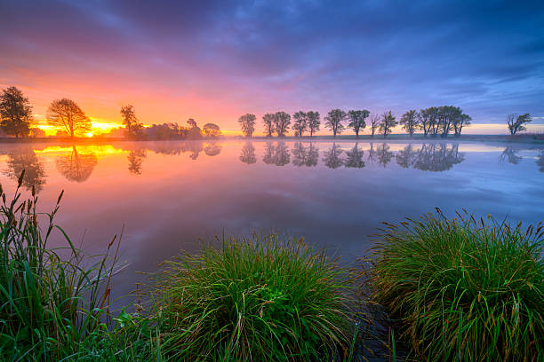 Colorful summer sunrise over the lake