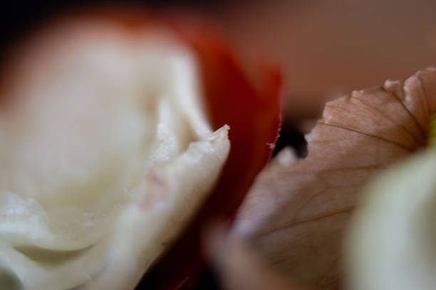 Macro photograph of a cut onion.
