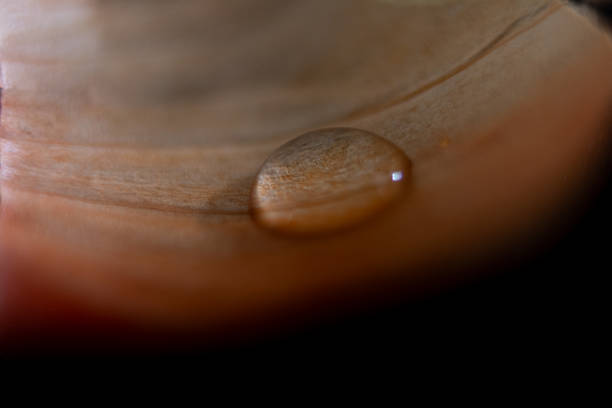 Macro photograph of a droplet on a leaf.