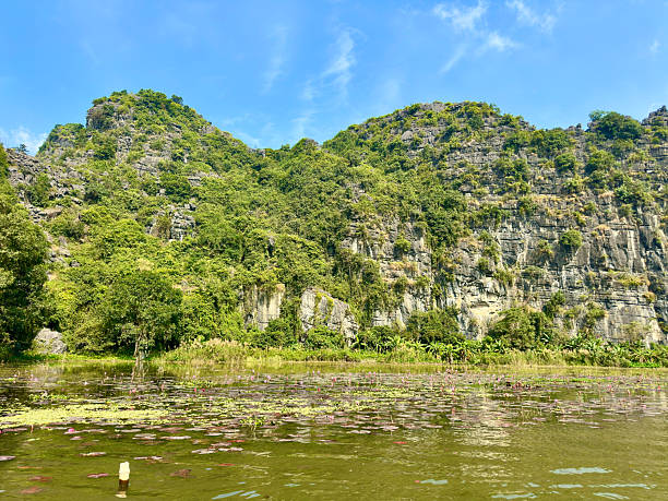 istock A panoramic view of the majestic limestone range with vertical cliffs reflecting on the vast water lily swamp 2253021083