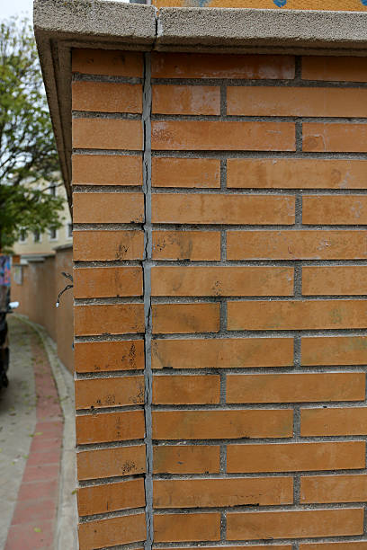 istock A brick wall where we can appreciate different textures due to the material and some subtle details like a snail. Concept: Textures 2253021257