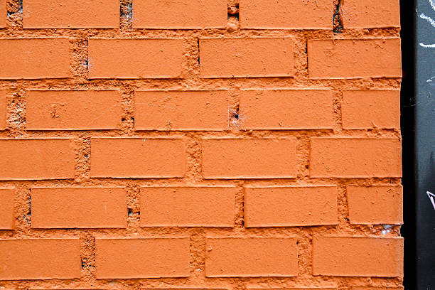 A brick wall where we can appreciate different textures due to the material and some subtle details like a snail. Concept: Textures