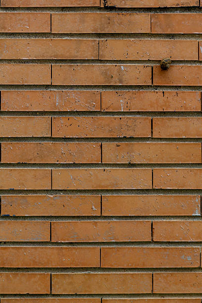 istock A brick wall where we can appreciate different textures due to the material and some subtle details like a snail. Concept: Textures 2253021306