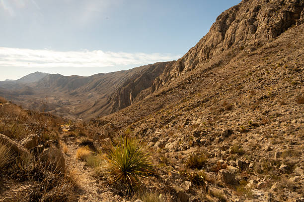 Cross Canyon Trail Leading Towards Mexico In Big Bend National Park
