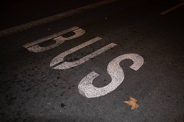 Bus lane marking painted white on dark, weathered asphalt at night — close-up urban street detail highlighting public transit infrastructure, worn lines and textured pavement