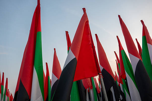 istock UAE Flag Garden, Dubai 2253030951