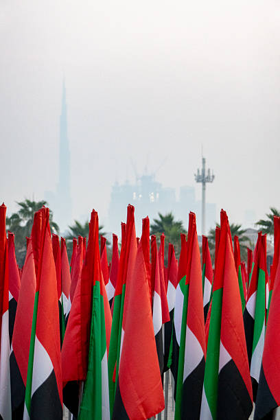 istock UAE Flag Garden, Dubai 2253031470