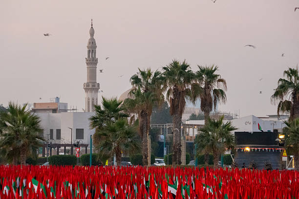 istock UAE Flag Garden, Dubai 2253031502