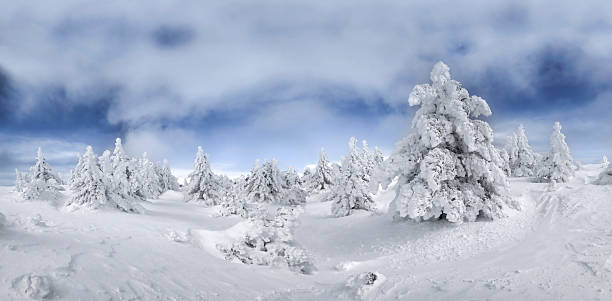 istock Snow covered pine forest under a dramatic winter sky, pristine white landscape with frosted trees and soft light, cold seasonal scenery conveying silence, nature, and extreme weather 2253032037