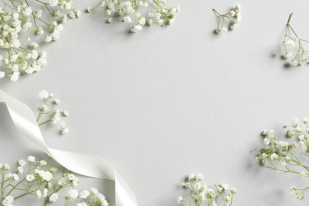 istock Top view photo with gypsophila flowers on gray background with empty space 2253033672