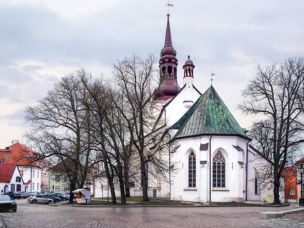 Spiritual restraint and historic presence surround St. Marya Cathedral, also known as the Dome Church, standing prominently on Toompea Hill in winter city surroundings. Tallinn, Estonia