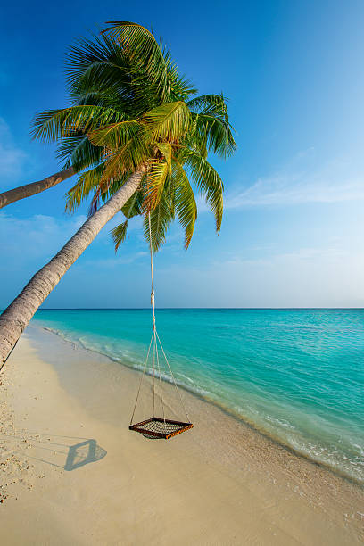 istock Maldives Tropical Island 2253036961