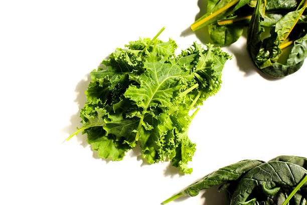 istock Piles of fresh leafy salad vegetable 2253037135