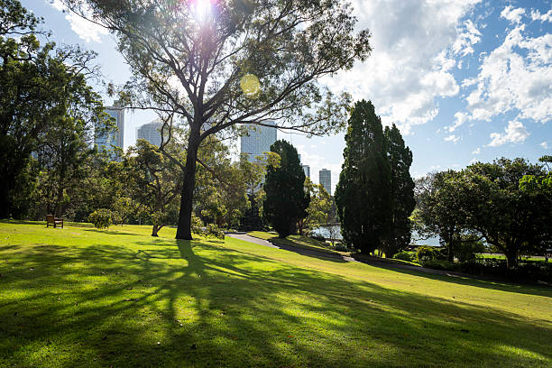 istock Botanic Garden - public, free entry park 2253041499