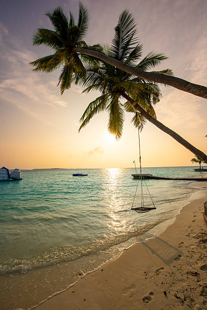 istock Maldives Tropical Island 2253046523