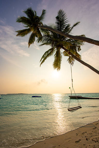istock Maldives Tropical Island 2253046743