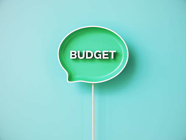 istock Budget Written on Green Speech Bubble Over Green Background 2253049657