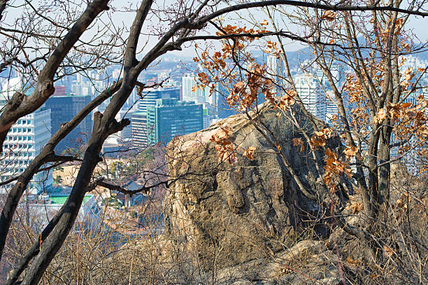 Seoul Namsan Tower Korea