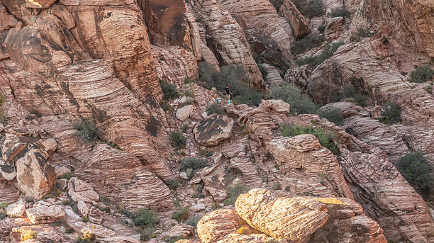 istock Red Rock Canyon Nevada 2253056542