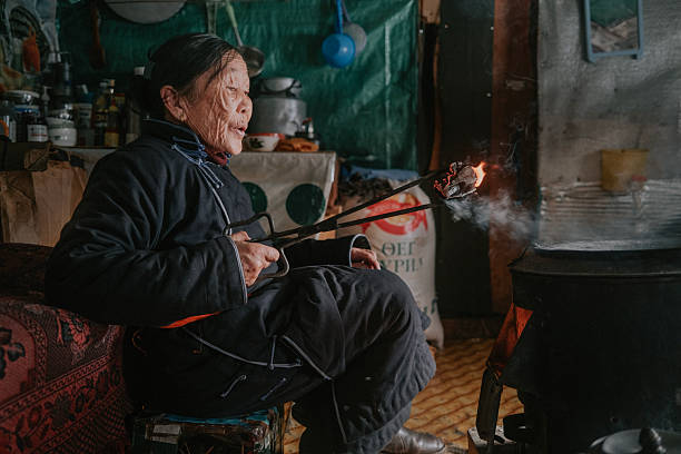 istock Elderly Tsaatan woman tending fire inside traditional forest dwelling 2253056649